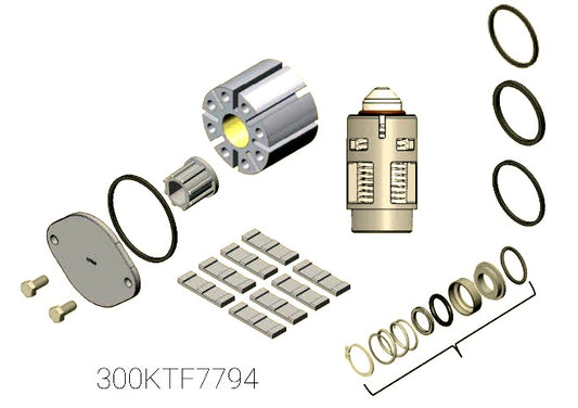 Foto de producto - 300KTF7794 kit de reparacion Fill-Rite